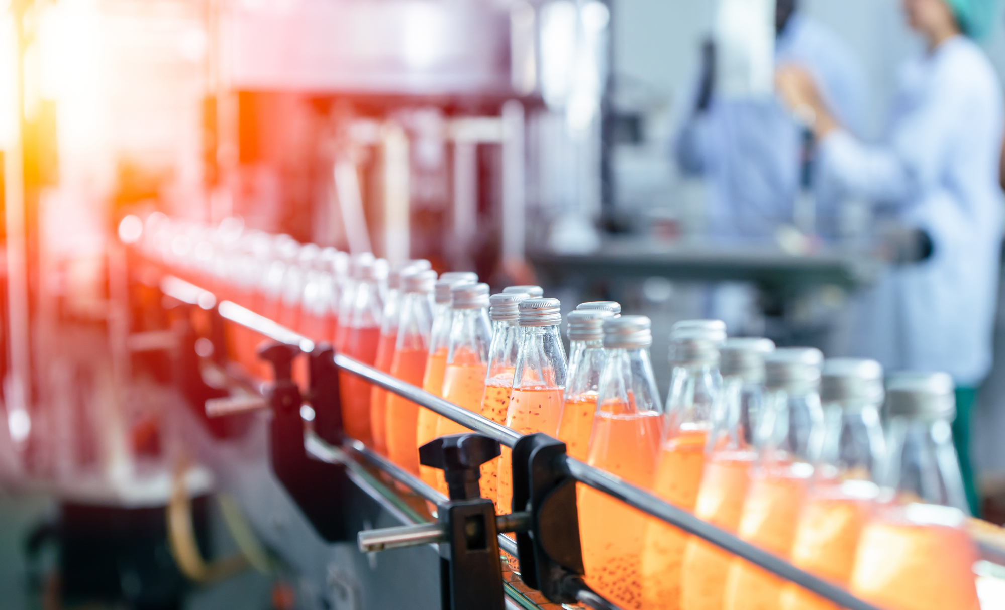 blen ibdp business case