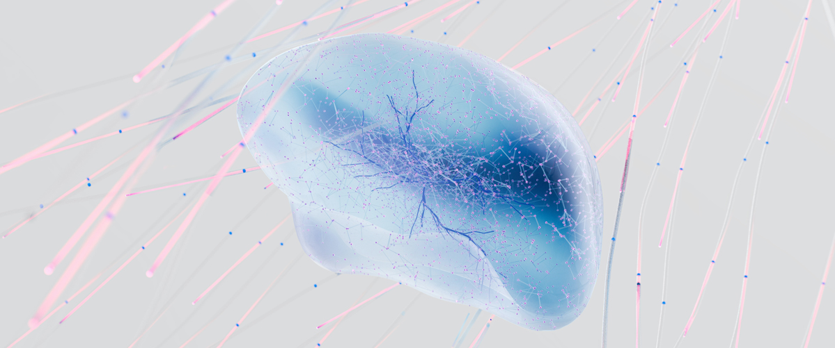 blen math skills and symbol 2
