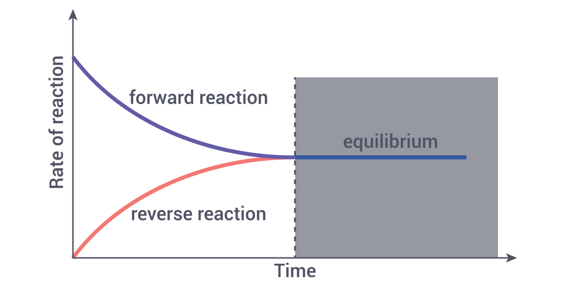 Diagram of Chemical kinetics.